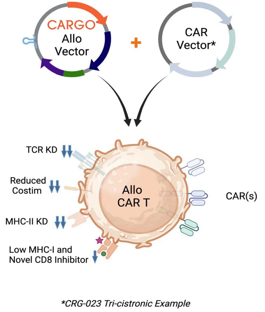 Allogeneic-Platform-101